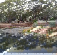 Green Corridor Walking Track - Gold Coast Attractions