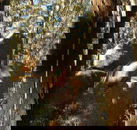 Gulaga National Park - Gold Coast Attractions