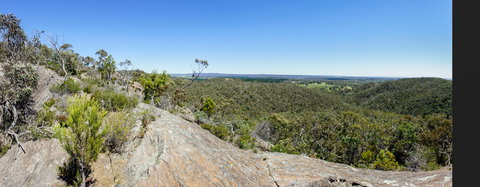 Hale Conservation Park - Gold Coast Attractions 0
