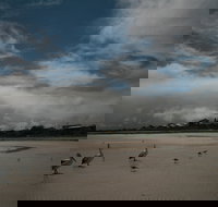 Hardwicke Bay - Gold Coast Attractions