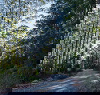 Hastings Forest Way Touring Route - Gold Coast Attractions