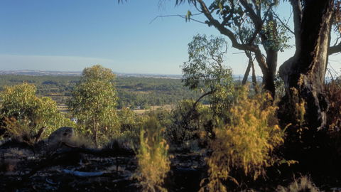 Heathcote-Graytown National Park - Gold Coast Attractions 0
