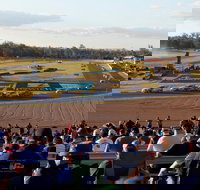 Ipswich Motorsport Precinct - Gold Coast Attractions