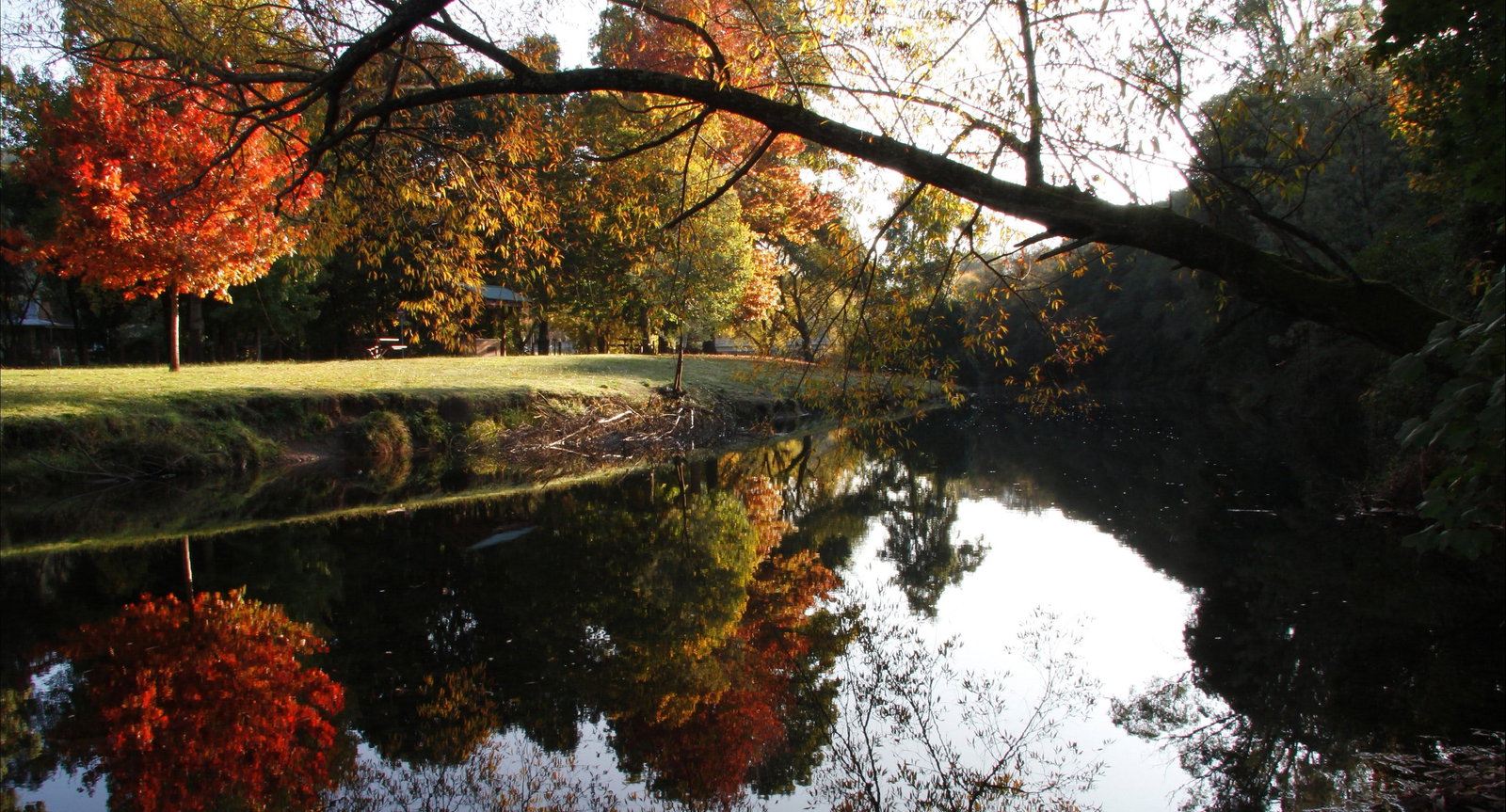 Gaffneys Creek VIC Gold Coast Attractions