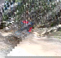 Jolly Nose Mountain Bike Park - Gold Coast Attractions