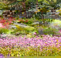 Jurassic Garden AR Experience - Gold Coast Attractions