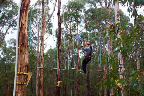 Kinglake Forest Adventures - Gold Coast Attractions 0