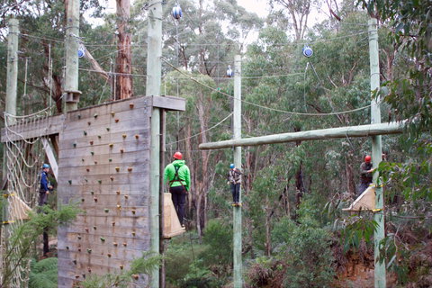 Kinglake Forest Adventures - Gold Coast Attractions 1