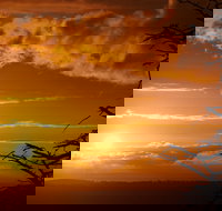 Lady Stonehavens Lookout - Gold Coast Attractions