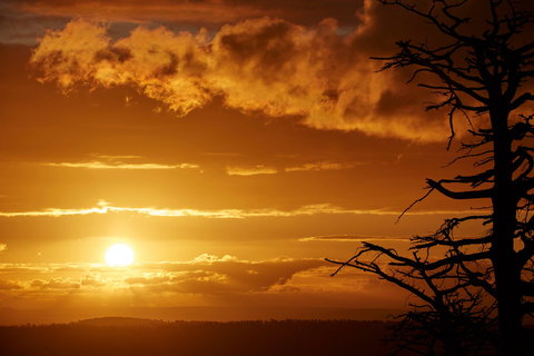 Lady Stonehavens Lookout - Gold Coast Attractions 0