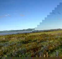 Lakeland - Gold Coast Attractions