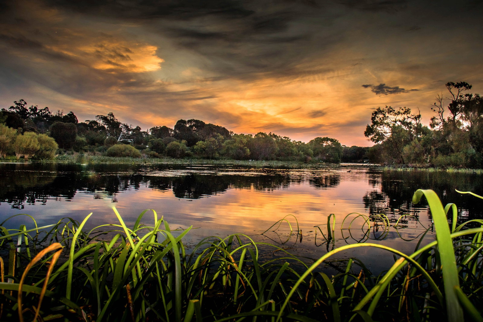 Gold Coast Attractions