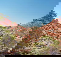 Lark Quarry Conservation Park - Gold Coast Attractions