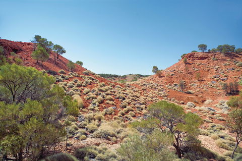 Lark Quarry Conservation Park - Gold Coast Attractions 0