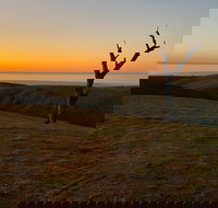 Lessismore Farm Afternoon Farmer - Gold Coast Attractions