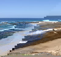 Little Shelley - Gold Coast Attractions