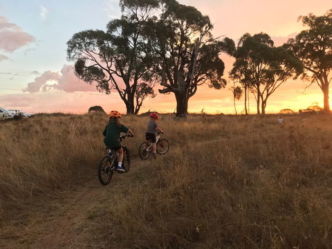 Mountain Bike Trails Tumbarumba - Gold Coast Attractions 2