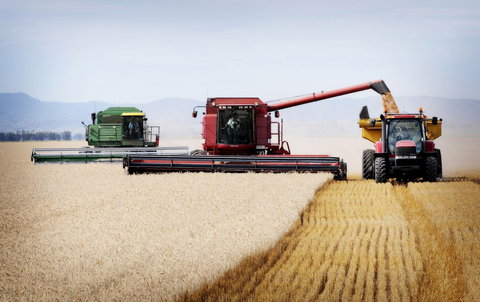 Mullaley - Gold Coast Attractions 0