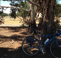 Murchison Rail Trail - Gold Coast Attractions