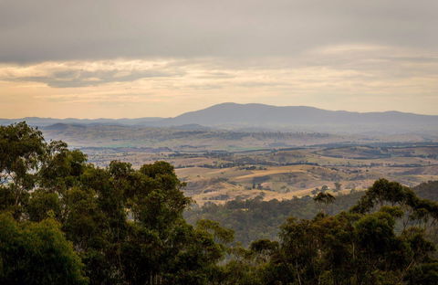 Myrtle Mountain Lookout - Gold Coast Attractions 0