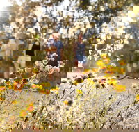 Nail Can Hill - Gold Coast Attractions