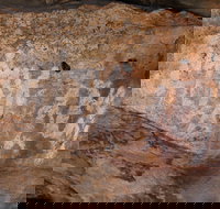 Ngamadjidj Shelter - Wartook Valley - Gold Coast Attractions