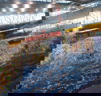 Oasis Regional Aquatic Centre - Gold Coast Attractions