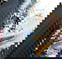 Oh JoJo Boutique - Gold Coast Attractions