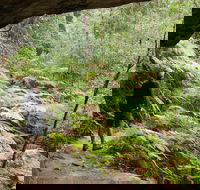 Old Great North Road Bike Ride - Gold Coast Attractions