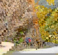 Old Great North Road - World Heritage Walk - Gold Coast Attractions