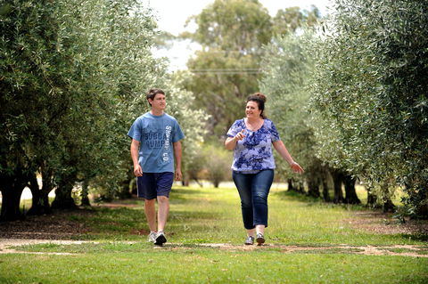 Olives Of Beaulieu - Gold Coast Attractions 0