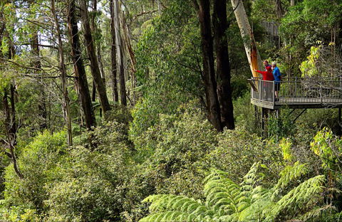 Pipers Lookout - Gold Coast Attractions 0