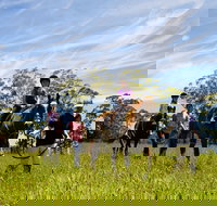 Port Macquarie Horse Riding Centre - Gold Coast Attractions