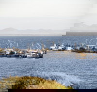 Portarlington - Gold Coast Attractions