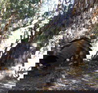 PS Providence historic site - Gold Coast Attractions