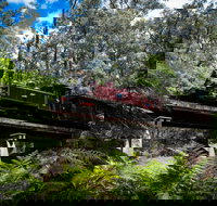 Puffing Billy Railway - Gold Coast Attractions