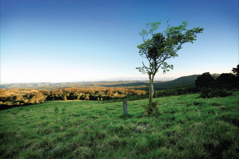 Ravensbourne National Park - Gold Coast Attractions 0