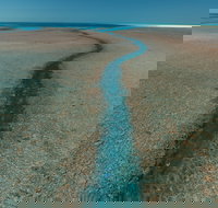 Rowley Shoals - Gold Coast Attractions