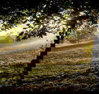 Ruffey Lake Park - Gold Coast Attractions