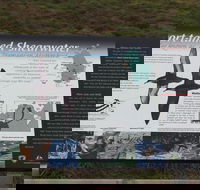 Settlement Point Viewing Platform - Gold Coast Attractions