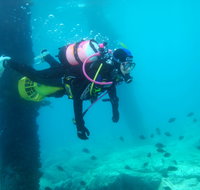 Shellharbour Scuba  and Photography Centre - Gold Coast Attractions