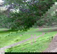 St Albans Reserve - Gold Coast Attractions