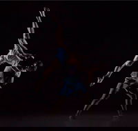 Sydney Dance Company - Gold Coast Attractions