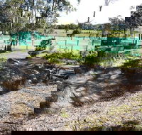 Tactical Paintball Games - Gold Coast Attractions
