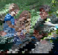 Tamworth Marsupial Park and Adventure Playground - Gold Coast Attractions