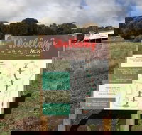 The Wallaby Track - Gold Coast Attractions