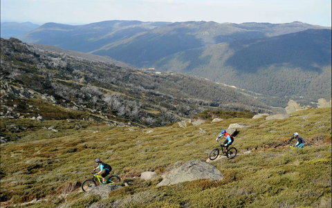 Thredbo Mountain Biking - Gold Coast Attractions 0