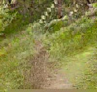 Three Views walking track - Gold Coast Attractions