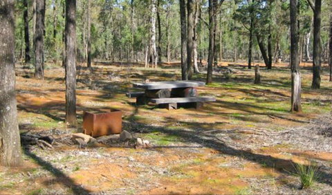 Two Dams Picnic Area - Gold Coast Attractions 0