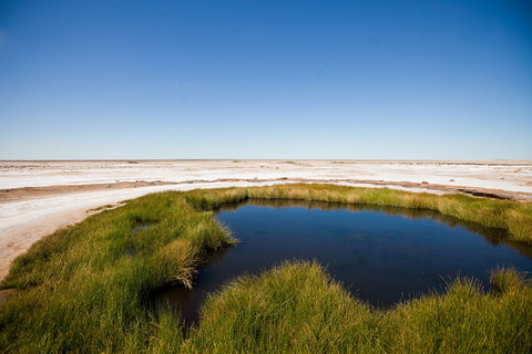 Wabma Kadarbu Mound Springs Conservation Park - Gold Coast Attractions 0